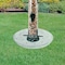 Audubon Audubon 10.38 in. H X 10.38 in. W X 1.25 in. D Wild Bird Food Preserver NATUBETRAY - alternate 2